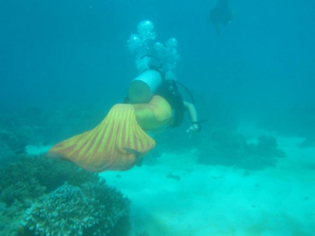 07-buceo-para-sirenas