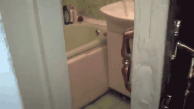 funny_cats_gifs_01