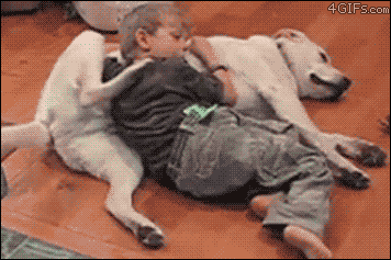 https://www.frikiweb.com/wp-content/uploads/2015/03/gif-perro3.gif